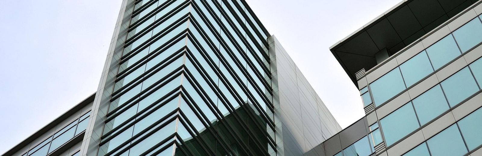 Company building as visual language for management and responsibility